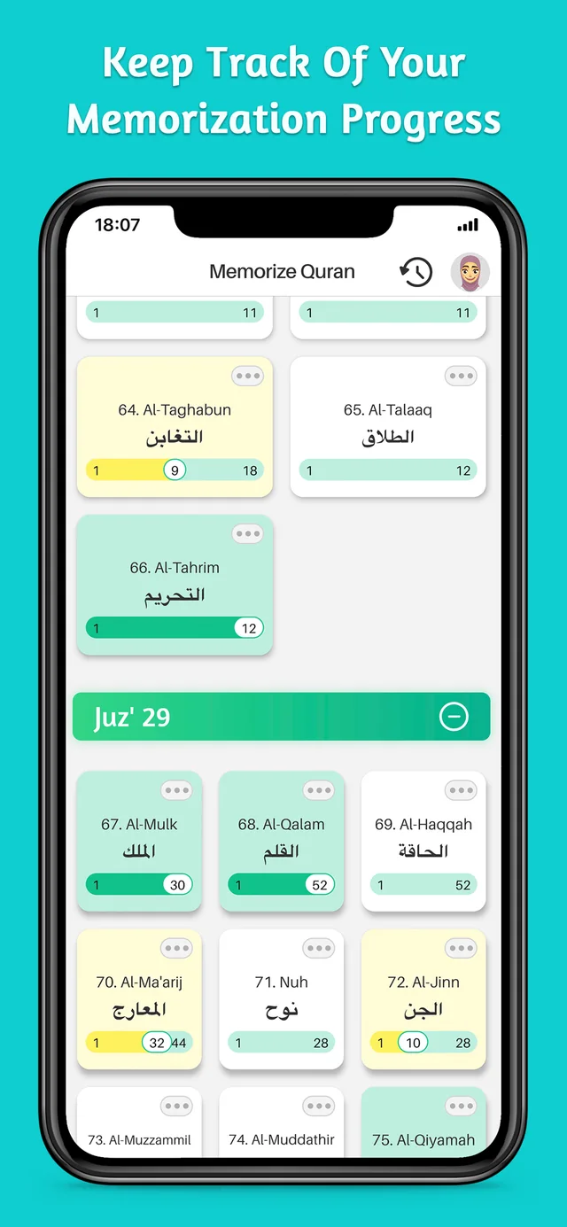Keep track of your memorization progress per Sura